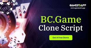 Unlocking Potential The Benefits of BC.Stavka Referral Unlocking Potential The Benefits of BC.Stavka Referral